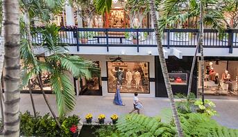 Photo of stores, plants, and palm trees inside Bal Harbor Shops mall in Florida