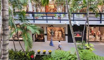 Photo of stores, plants and palm trees inside Bal Harbor Shops mall in Florida
