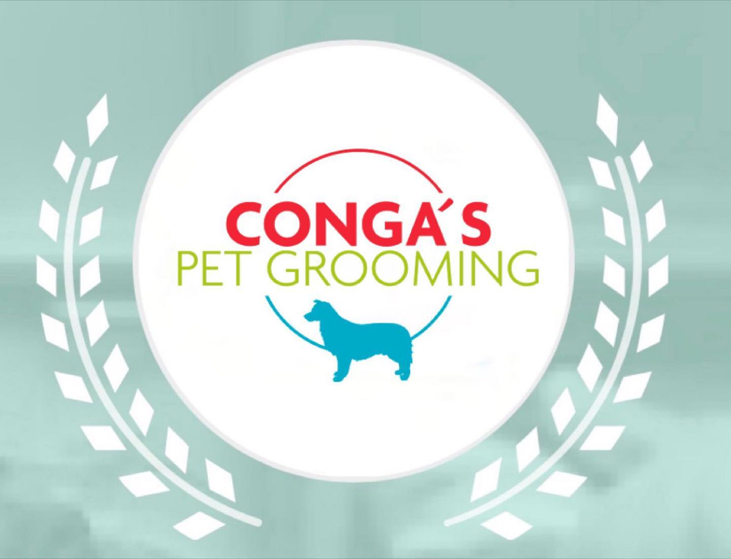 Pet grooming store open today