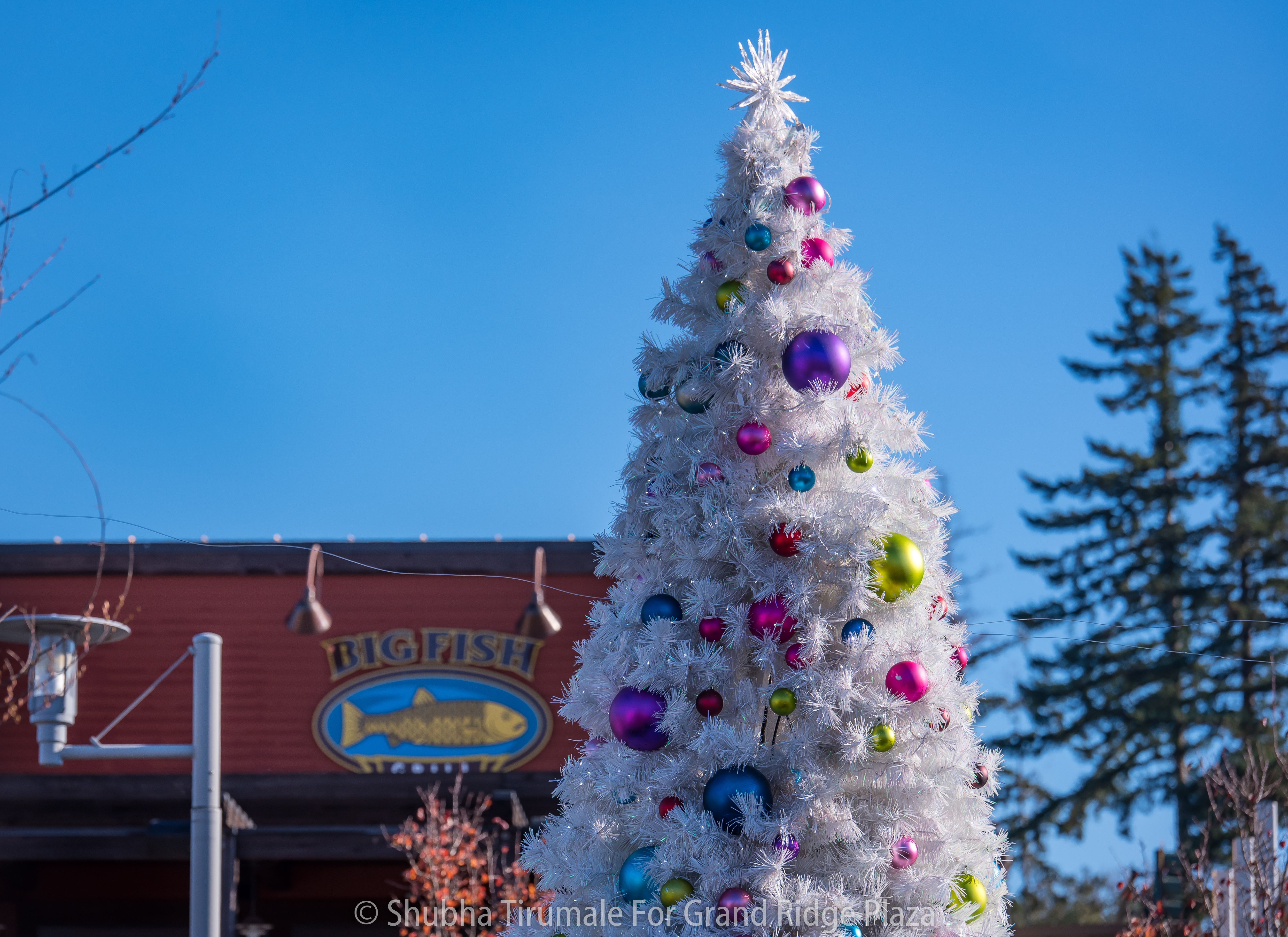 white artificial christmas tree with bright ornaments in downtown area