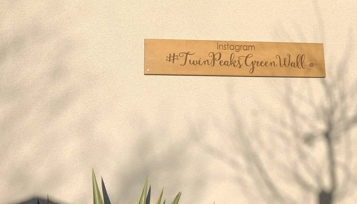 Instagram Hashtag Twin Peaks Green Wall sign