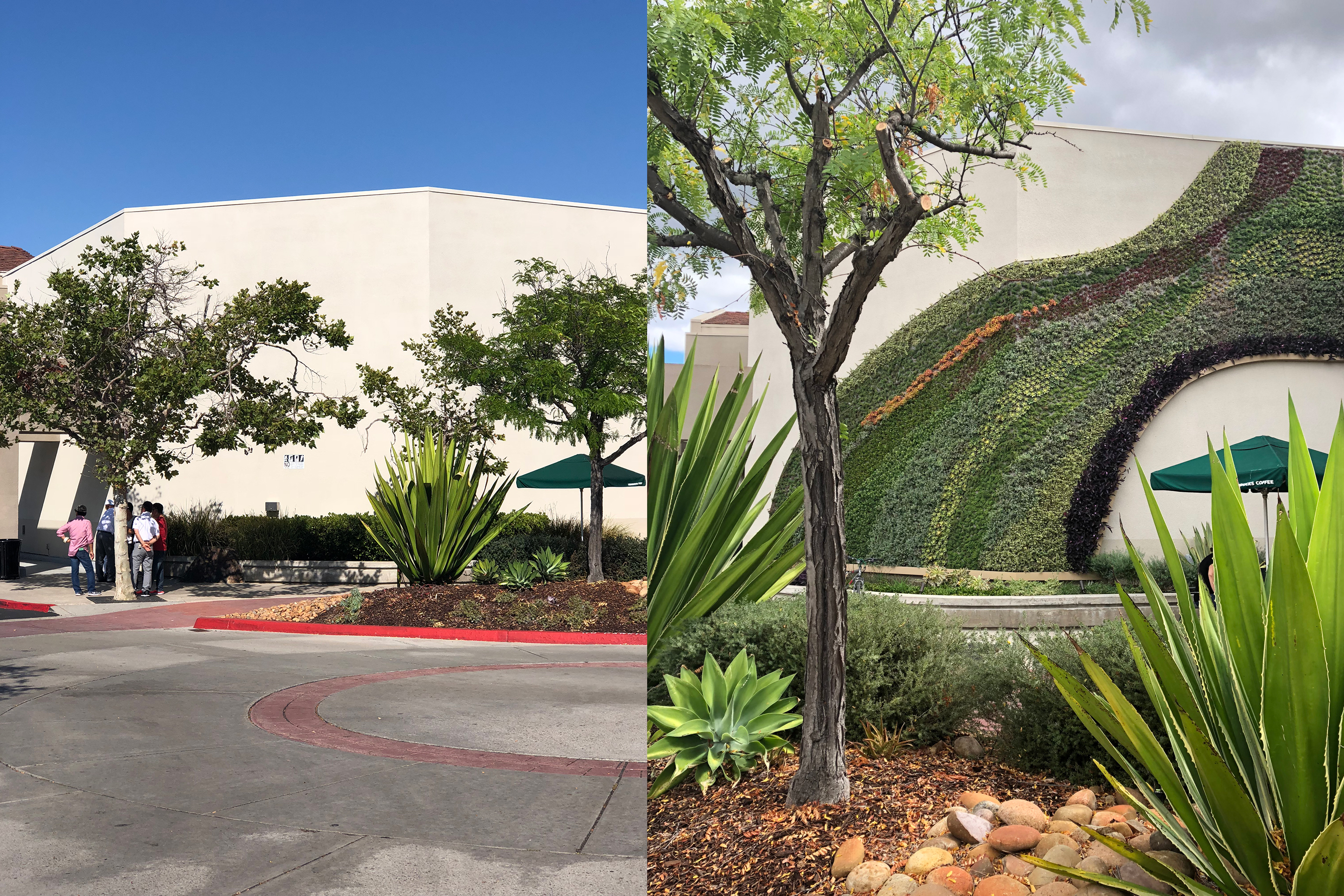 Growing Green: Placemaking at Twin Peaks