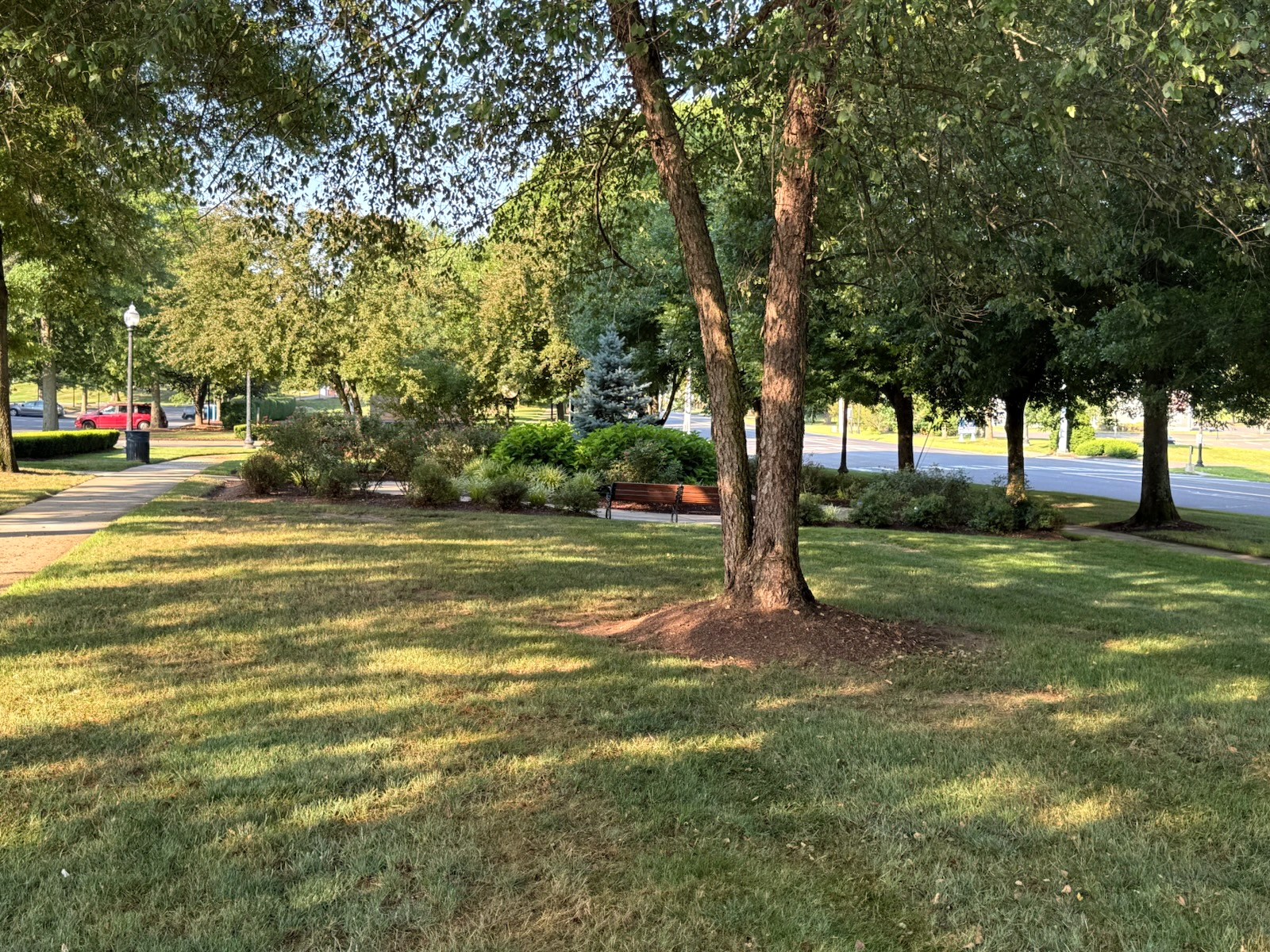 southburygreen-landscaping-tree