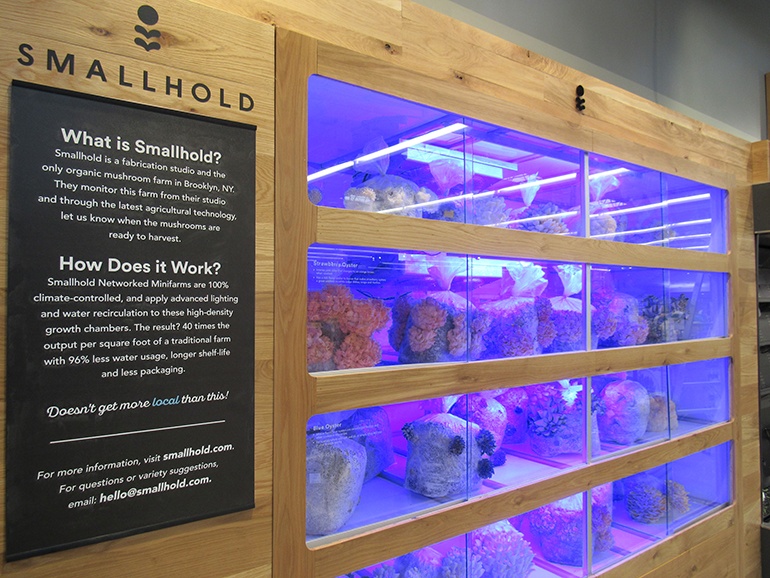 Whole Foods Mushroom Farm with mushroom on display behind glass shelves 