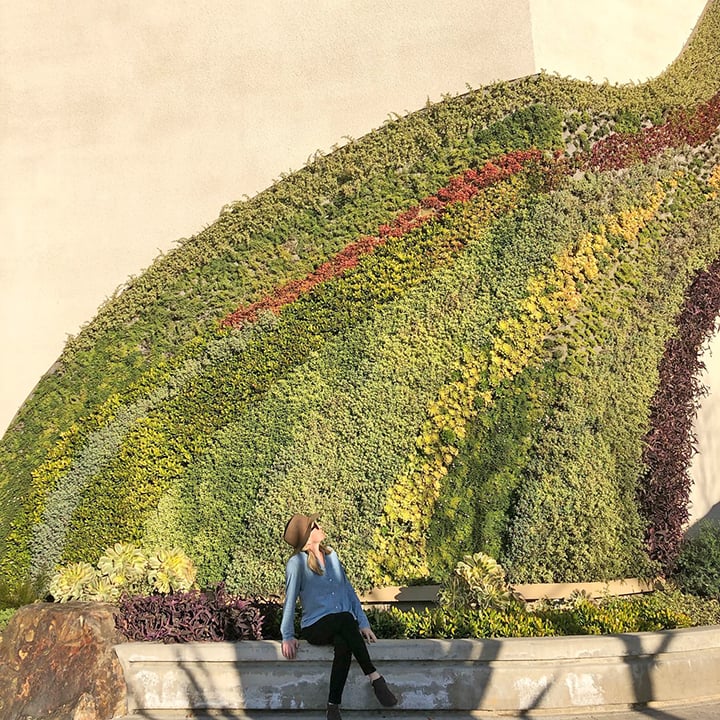 Woman sitting in front of green succulent wall