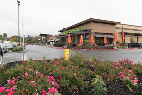 Outside photo of a Whole Foods Market in a shopping center with pink flowers in front. 