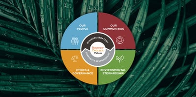 Graphic showing the different sectors of corporate responsibility including Our People, Our Communities, Ethics & Governance, Environmental Stewardship 
